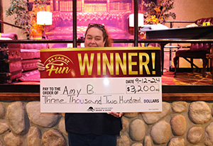 Amy B. Solve The Mystery Giveaway Winner