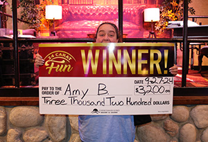 Amy B. Solve the Mystery Giveaway Winner