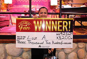 Luz A. Solve the Mystery Giveaway Winner