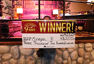 Mireya R. Solve the Mystery Giveaway Winner